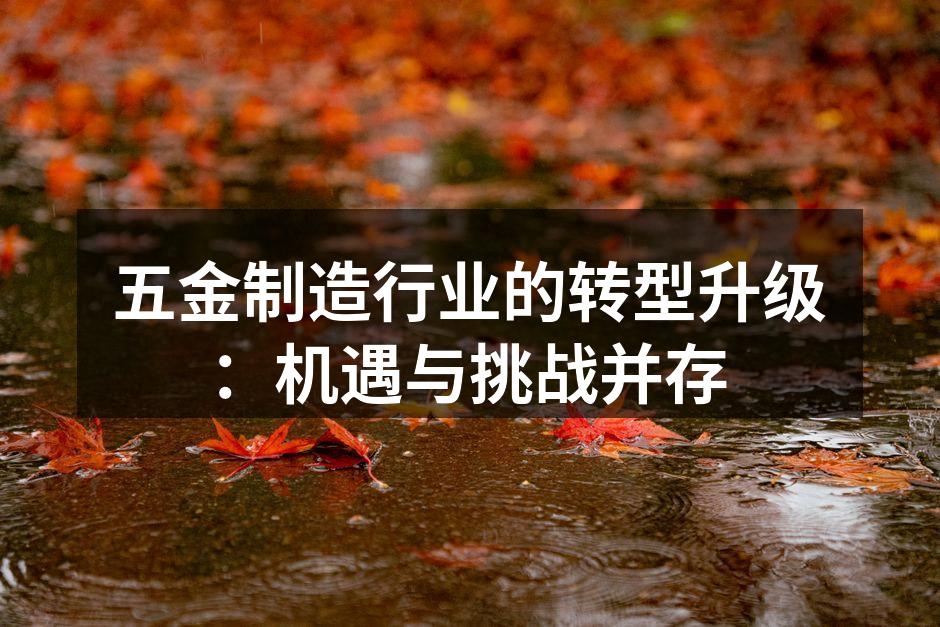 五金制造行业的转型升级:机遇与挑战并存