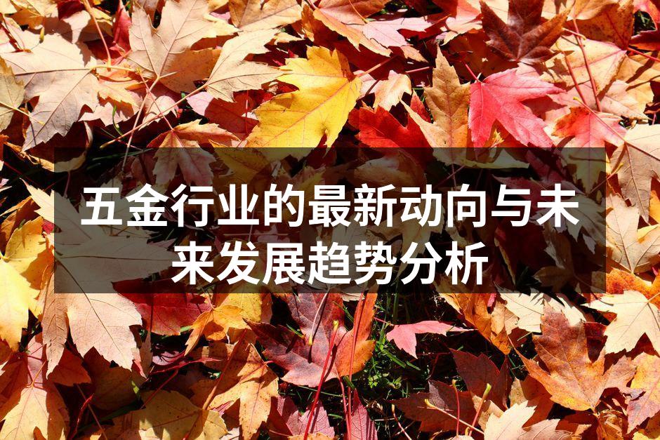 五金行业的最新动向与未来发展趋势分析
